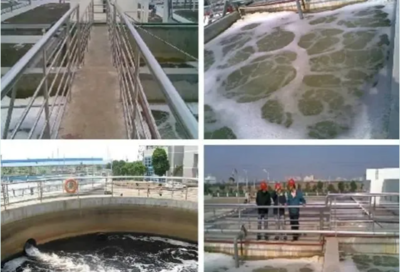 肖羽堂 以技術先鋒之姿，共繪企業環保監測新藍圖